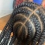 Starter locs