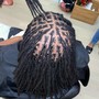 Loc Re-twist (SIZE SMALL) (Up To Mid Back)