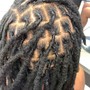 Starter Locs Maintenance