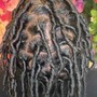 Starter Locs Maintenance