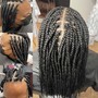 Senegalese Twist (Midback length)