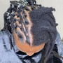 Shampoo+ Retwist/Style (2 Strand Twist)