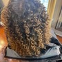 Root Touch Up