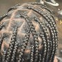 Individual Braids