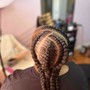 Braided ponytail