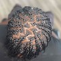 Two Strand Twists