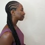 Feeder braids (10-15 Braids)