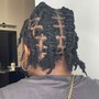 Starter Dreadlocks