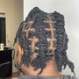 Starter Dreadlocks