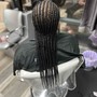 Feed in Braids (please read description)