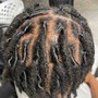 Wash and Style ; Two Strand Twist