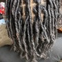 Starter Locs Full Head