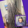 Passion /Spring /Kinky Twist-  Medium