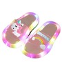 LED Unicorn slides