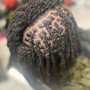 Starter Locs