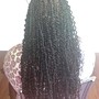 Extended Passion Twists