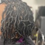 Starter locs with two stand twist medium