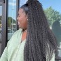 Creative Braids (no added hair)