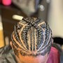 2 feed-in Braids