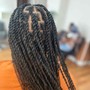 Medium Passion Twists