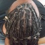 Tree Braids