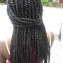 Tree Braids