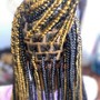 Large boho Box Braids