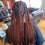 Havana Twists