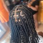 Kid's natural hair Braids