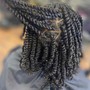 Starter Dreadlocks (non-afro textured hair)