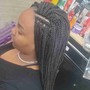 Crochet Braids (pretwisted/ prebraided)