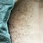 Men’s Brazilian Wax