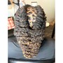 Intermediate Styling Locs Training