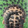 Extended Twist over Locs