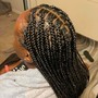 2 Feed-In Indian Braids