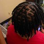 Starter Locs