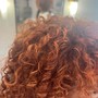 Root Touch Up - no cut