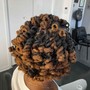 Natural Coils