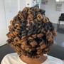 Natural Coils