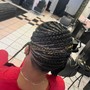 Micro twist/braids (natural hair only)