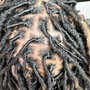 Loc Retwist