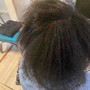 Root Touch Up