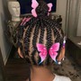 Braided Ponytail (Hair Added)