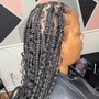 Havana Twists