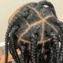 Medium Box Braids - Natural w/ shampoo+blowdry