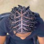 Starter Locs (Medium)