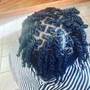 Starter Locs