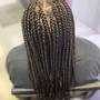 Med Large Knotless Box Braids