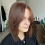 Root Touch Up