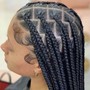 Tree Braids